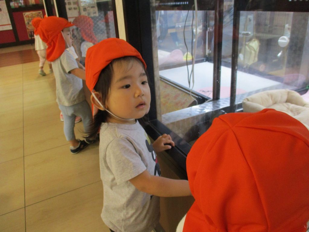 絵本紹介「かおかおどんなかお」と「あっぷっぷ」