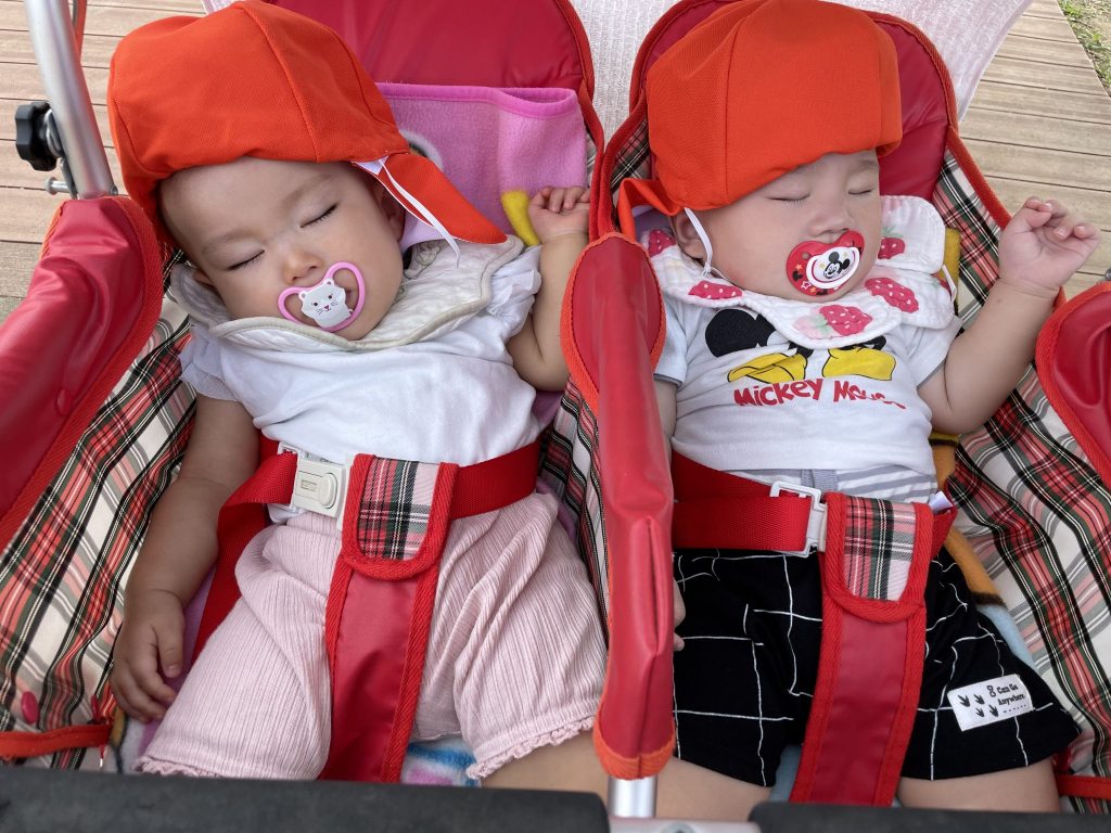 絵本紹介「みーちゃんのぼうけん　ABCブック」