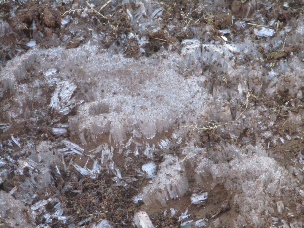 絵本紹介「バスなのね」