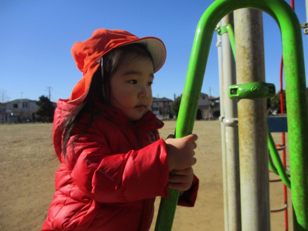 絵本紹介「なに　はこんでるの？」