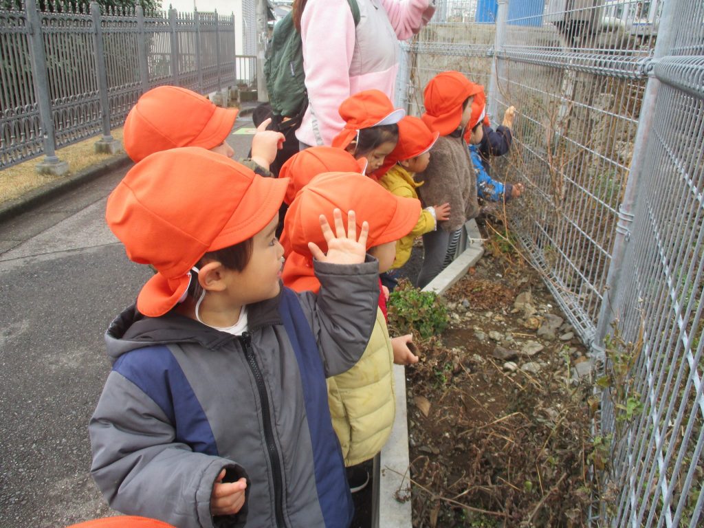 絵本紹介「ちびゴリラの「ちびちび」」