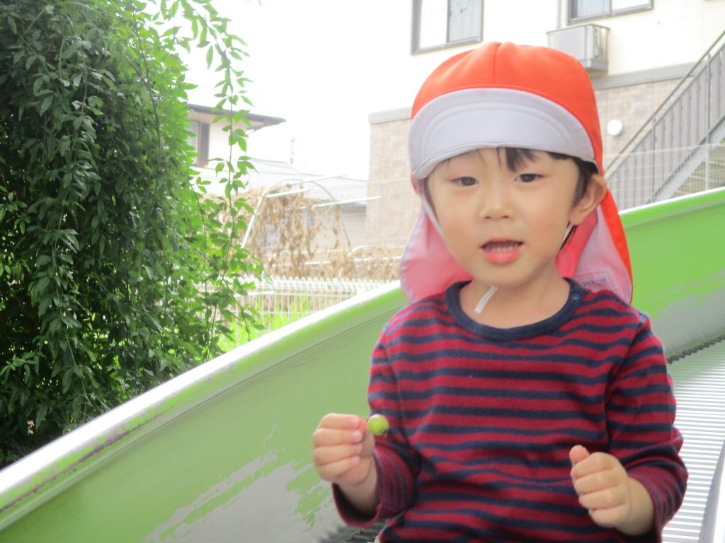 絵本紹介「パンダのたこやきやさん」