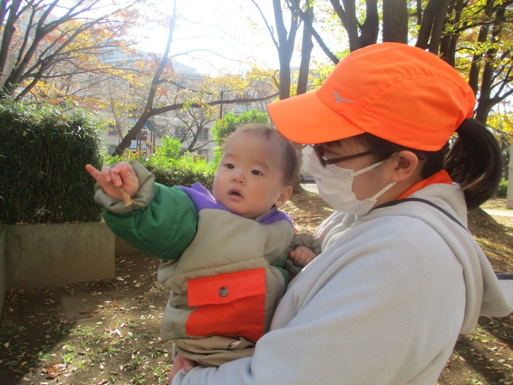 「秋はどこ？」